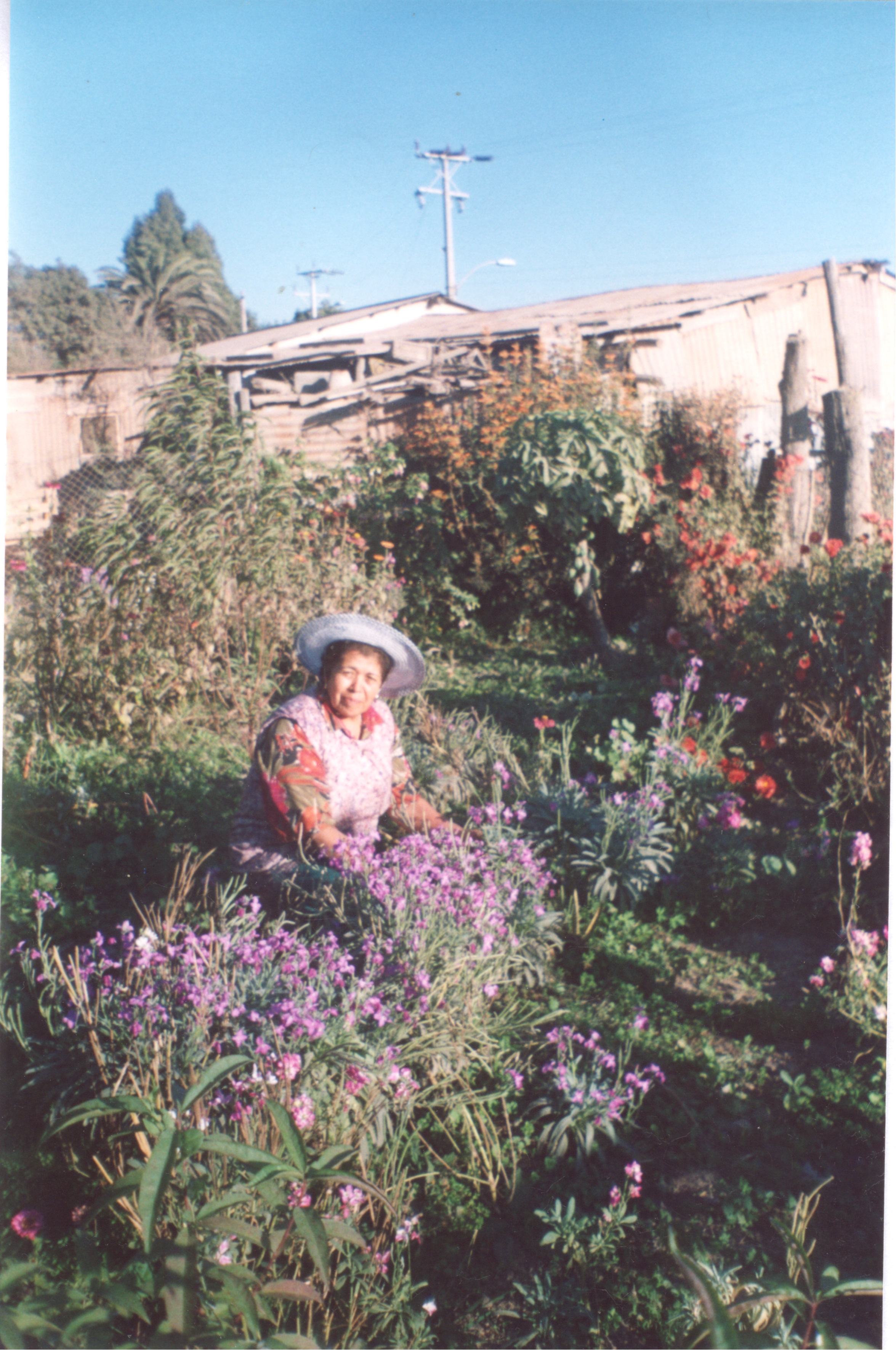 Yolanda Salinas Yolanda Salinas