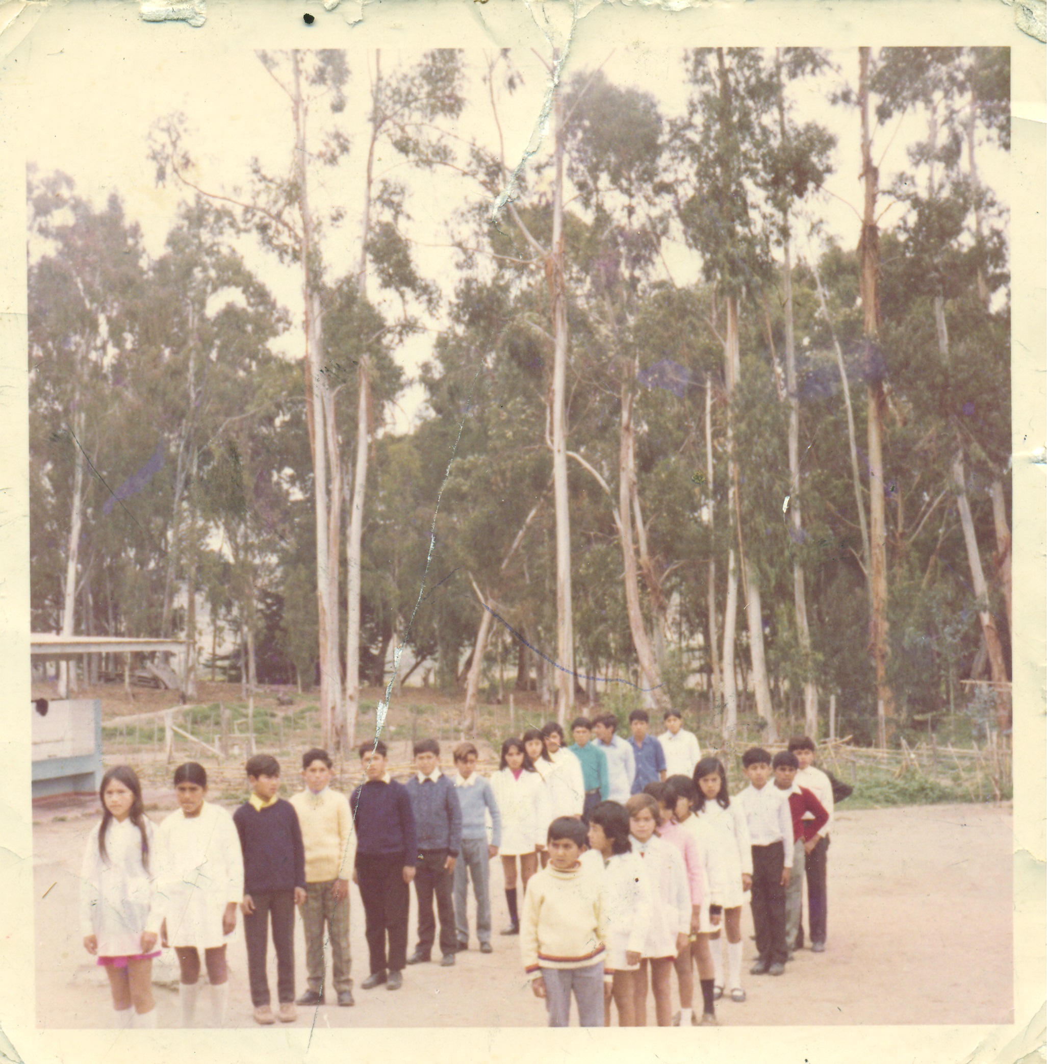 Estudiantes de la Escuela El Tangue Estudiantes de la Escuela El Tangue