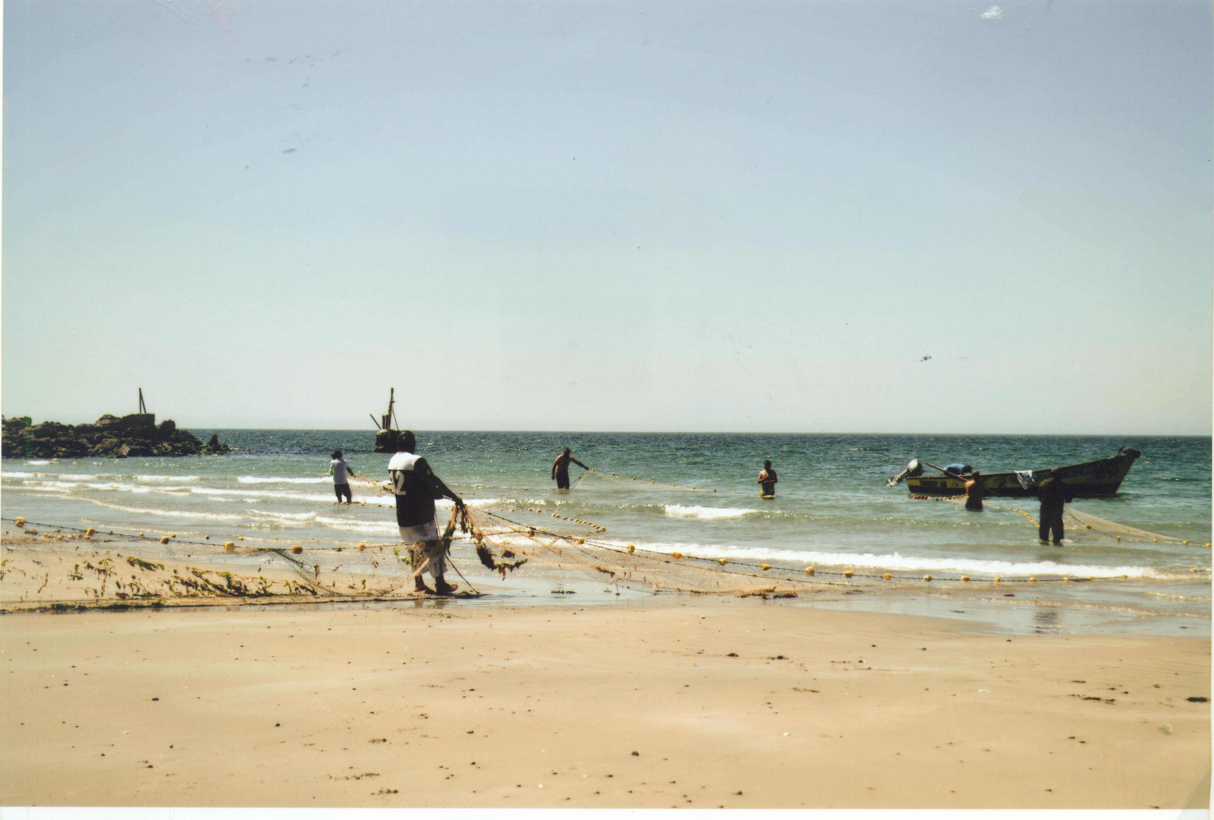 Pesca al chinchorro Pesca al chinchorro