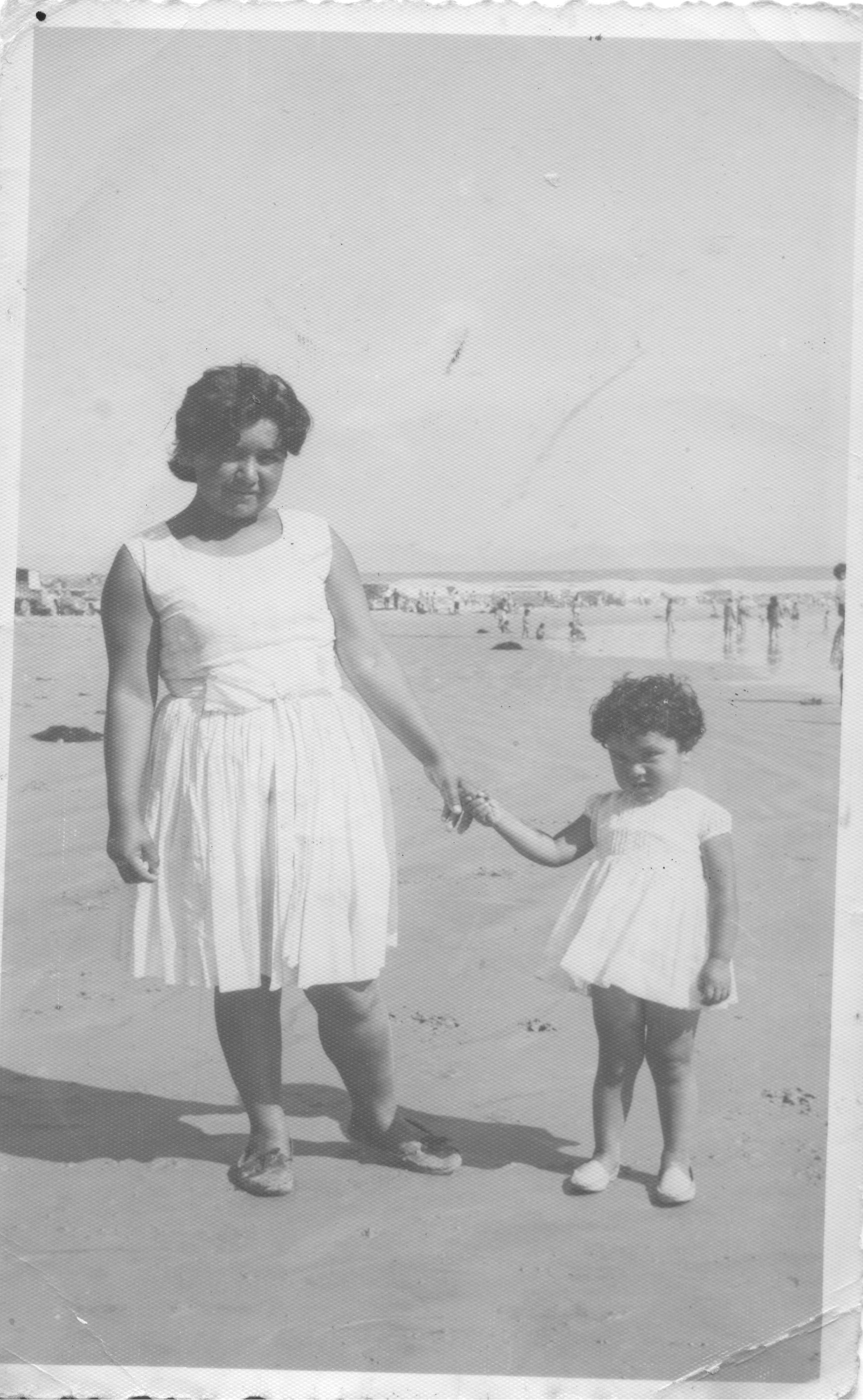 Paseo a la Playa Grande de Tongoy Paseo a la Playa Grande de Tongoy