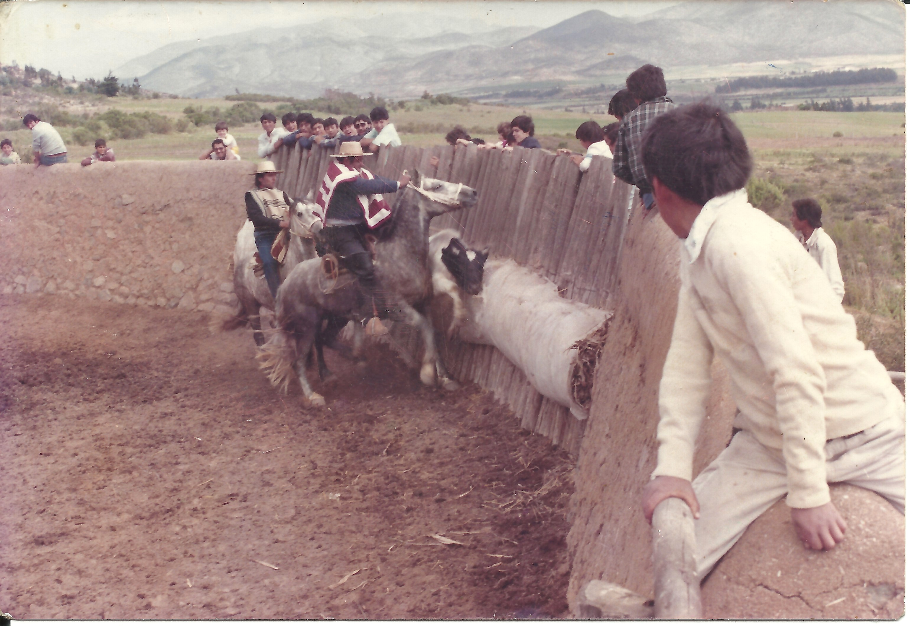 Rodeo en los Juegos Rurales de Altovalsol Rodeo en los Juegos Rurales de Altovalsol