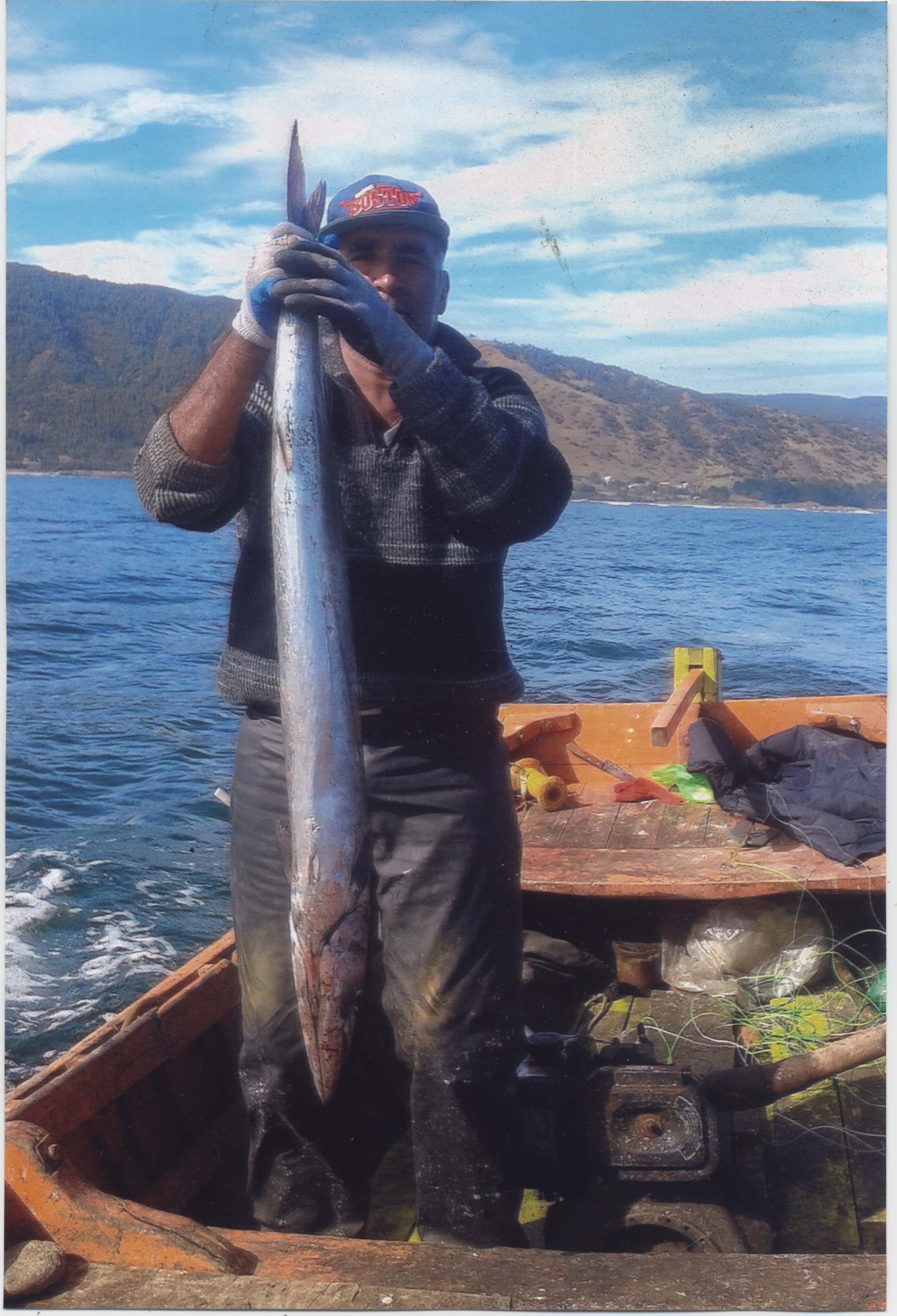 Pesca de sierra en Corral Pesca de sierra en Corral