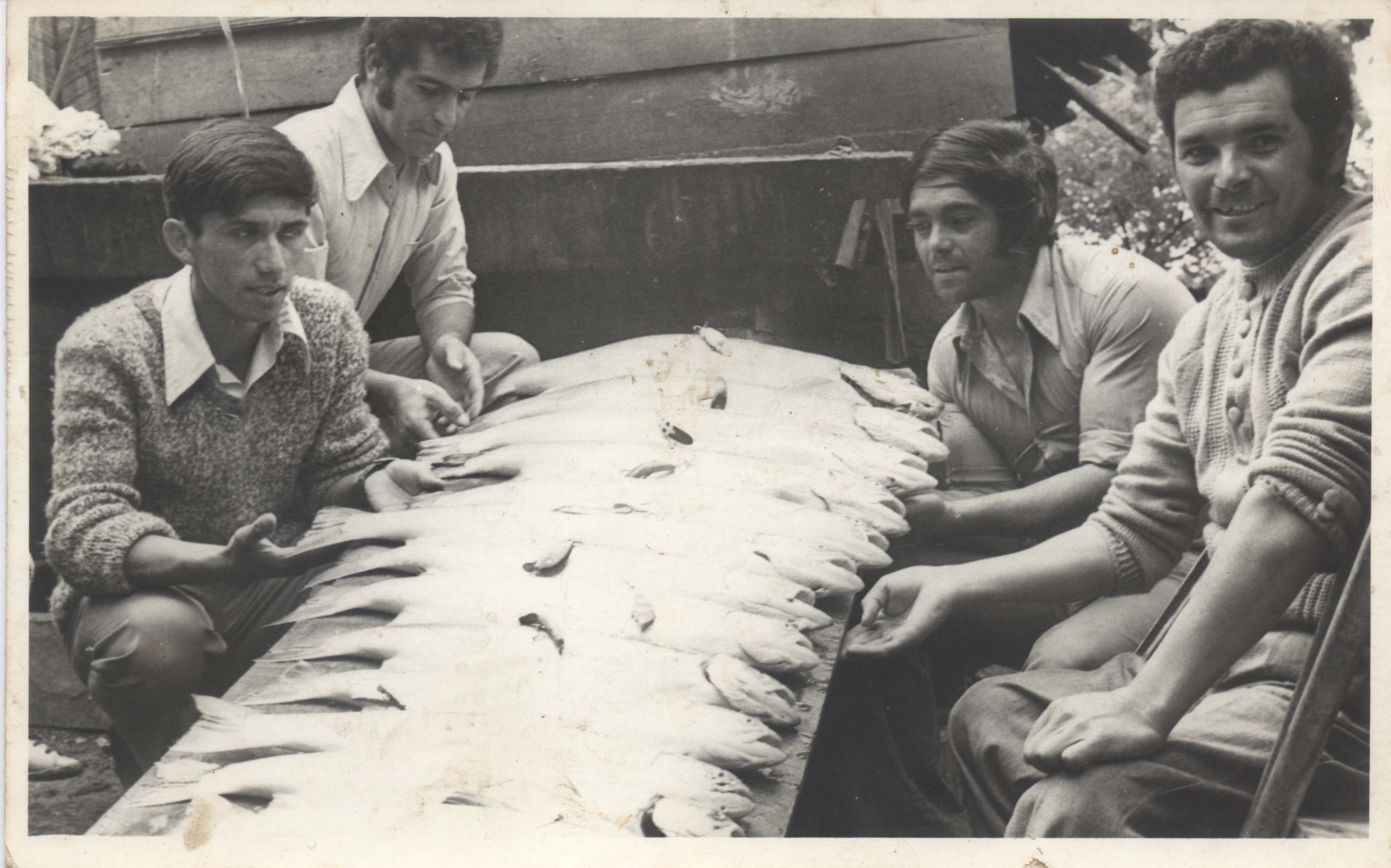 Campeonato de pesca Campeonato de pesca
