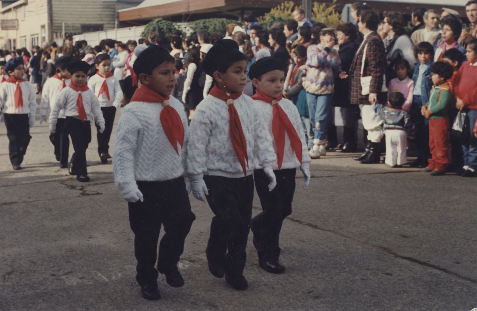 Desfile lobatos Desfile lobatos
