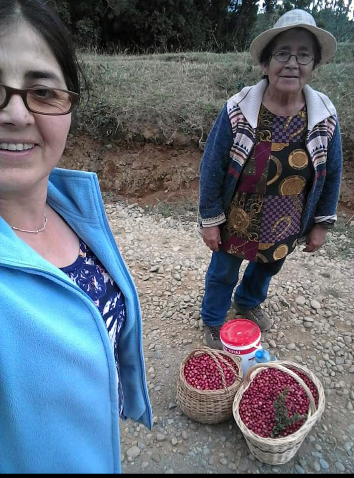 Lorena Antillanca Ñanco y su madre Lidia Ñanco Ñanco en temporada de murta Lorena Antillanca Ñanco y su madre Lidia Ñanco Ñanco en temporada de murta
